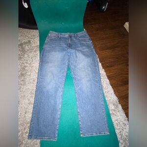 Madewell Jeans Womens Sz 33, 90’s Curvy Perfect Vintage Light Blue Wash Denim